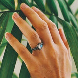 Anillo Elisabete Piedra lunar