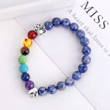 Pulsera Memorial Puente del Arcoíris – Regalo con 7 cuentas de los chakras para la pérdida de una mascota
