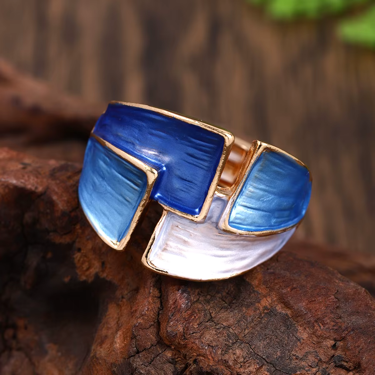 Anillo Naturaleza