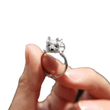 Anillo ajustable para perros en estilo retro
